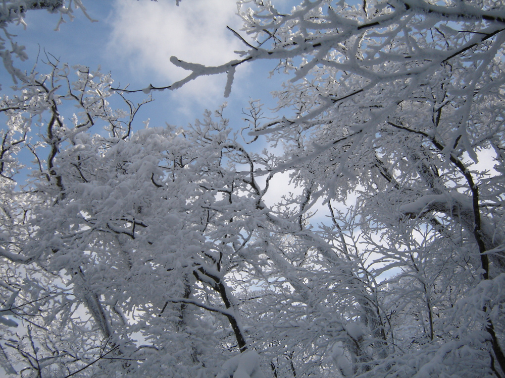 Ŭ¸¯ÇÏ½Ã¸é ¿ø·¡ »çÀÌÁî·Î º¸½Ç¼ö ÀÖ½À´Ï´Ù.