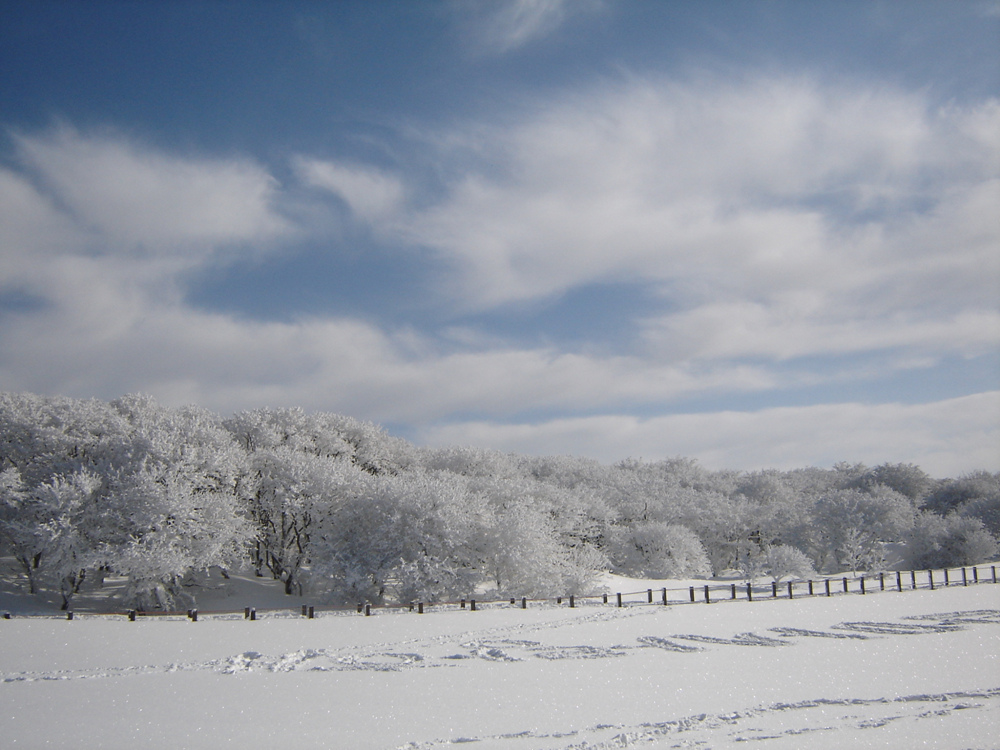 Ŭ¸¯ÇÏ½Ã¸é ¿ø·¡ »çÀÌÁî·Î º¸½Ç¼ö ÀÖ½À´Ï´Ù.