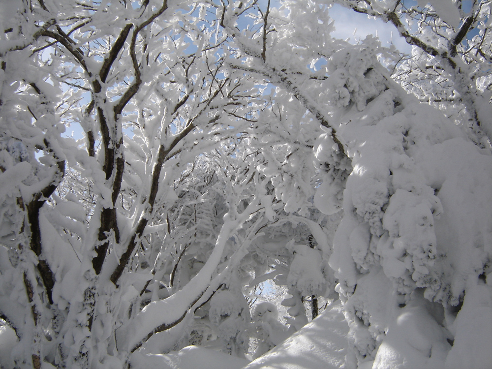 Ŭ¸¯ÇÏ½Ã¸é ¿ø·¡ »çÀÌÁî·Î º¸½Ç¼ö ÀÖ½À´Ï´Ù.