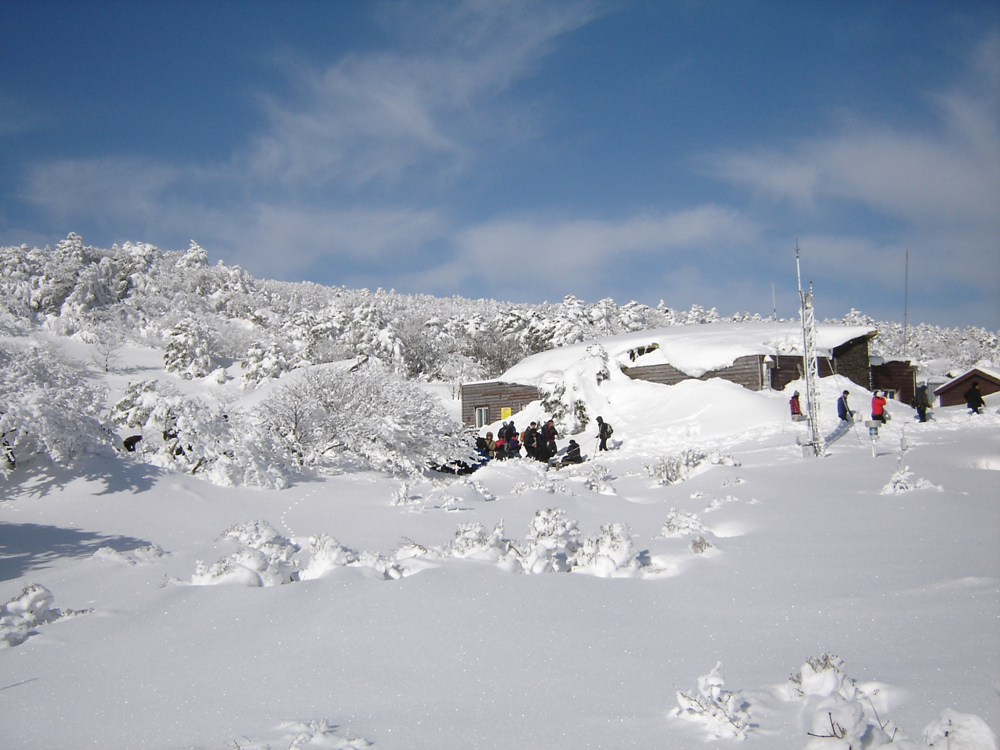 Ŭ¸¯ÇÏ½Ã¸é ¿ø·¡ »çÀÌÁî·Î º¸½Ç¼ö ÀÖ½À´Ï´Ù.