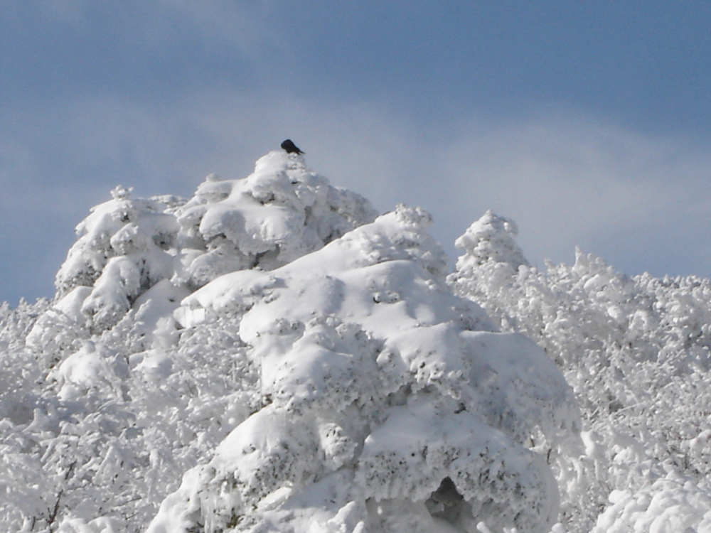 Ŭ¸¯ÇÏ½Ã¸é ¿ø·¡ »çÀÌÁî·Î º¸½Ç¼ö ÀÖ½À´Ï´Ù.