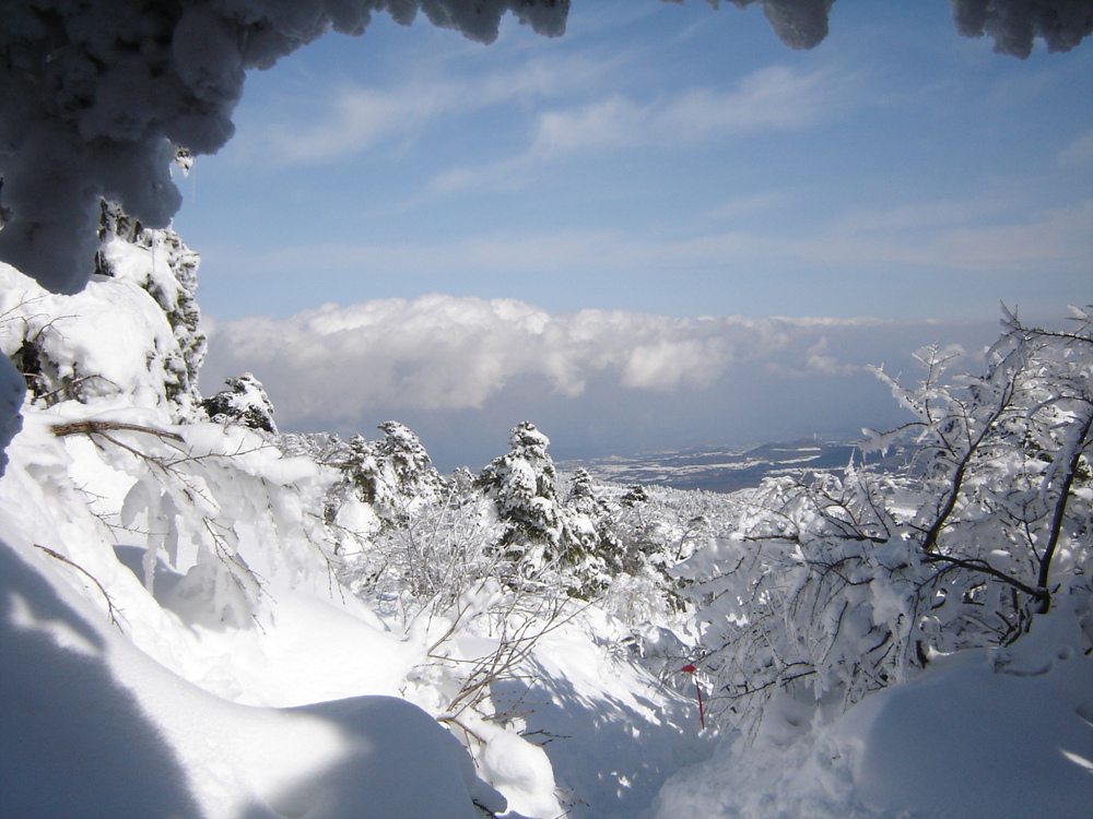 Ŭ¸¯ÇÏ½Ã¸é ¿ø·¡ »çÀÌÁî·Î º¸½Ç¼ö ÀÖ½À´Ï´Ù.