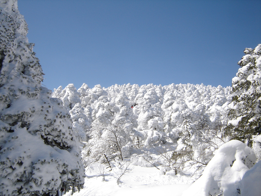 Ŭ¸¯ÇÏ½Ã¸é ¿ø·¡ »çÀÌÁî·Î º¸½Ç¼ö ÀÖ½À´Ï´Ù.