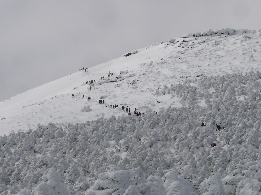 Ŭ¸¯ÇÏ½Ã¸é ¿ø·¡ »çÀÌÁî·Î º¸½Ç¼ö ÀÖ½À´Ï´Ù.