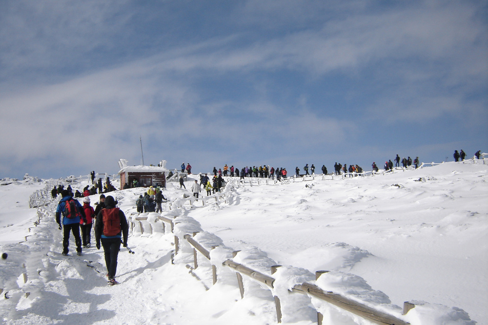 Ŭ¸¯ÇÏ½Ã¸é ¿ø·¡ »çÀÌÁî·Î º¸½Ç¼ö ÀÖ½À´Ï´Ù.