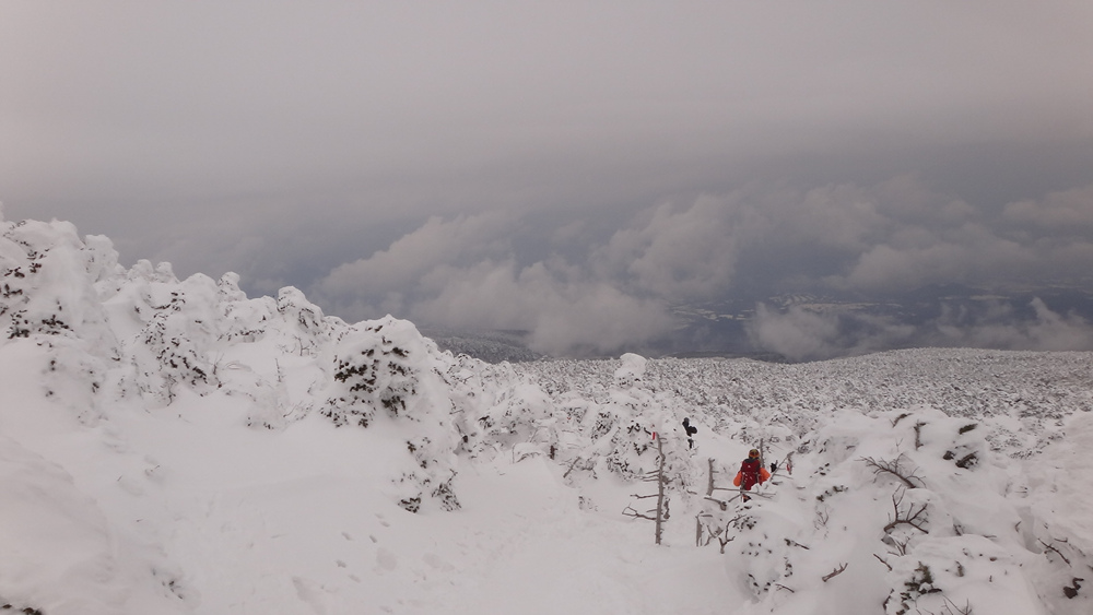 Ŭ¸¯ÇÏ½Ã¸é ¿ø·¡ »çÀÌÁî·Î º¸½Ç¼ö ÀÖ½À´Ï´Ù.