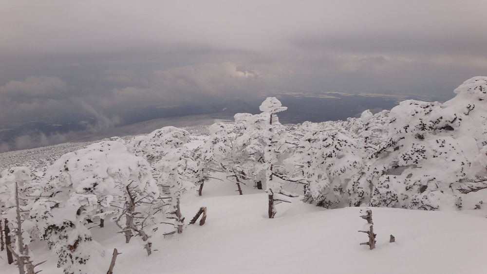 Ŭ¸¯ÇÏ½Ã¸é ¿ø·¡ »çÀÌÁî·Î º¸½Ç¼ö ÀÖ½À´Ï´Ù.