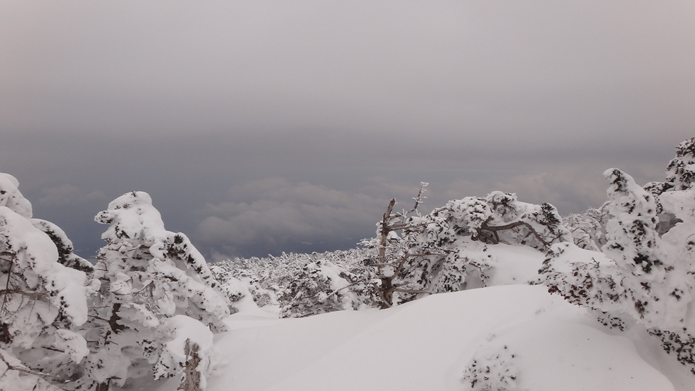 Ŭ¸¯ÇÏ½Ã¸é ¿ø·¡ »çÀÌÁî·Î º¸½Ç¼ö ÀÖ½À´Ï´Ù.