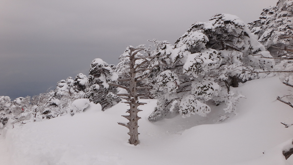 Ŭ¸¯ÇÏ½Ã¸é ¿ø·¡ »çÀÌÁî·Î º¸½Ç¼ö ÀÖ½À´Ï´Ù.